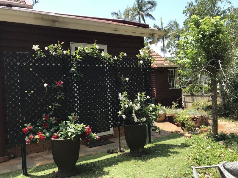 1 Cliff Way, Tamborine Mountain QLD 4272