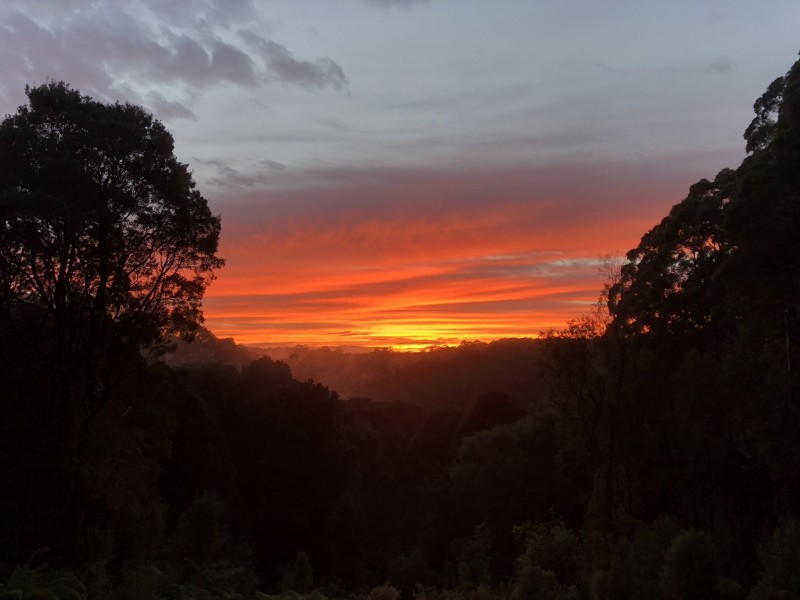 25 Melba Gully Road, Lavers Hill VIC 3238