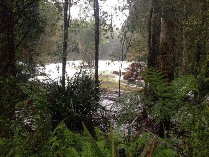 25 Melba Gully Road, Lavers Hill VIC 3238