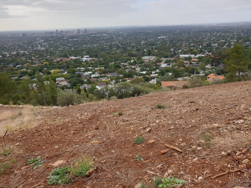 88 Sunnyside Road, Glen Osmond SA 5064