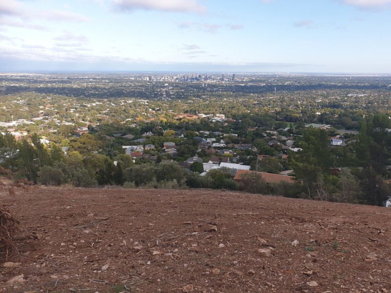 88 Sunnyside Road, Glen Osmond SA 5064