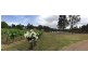 Lot Lot 35, 2 Oakey Creek Road, Pokolbin NSW 2320