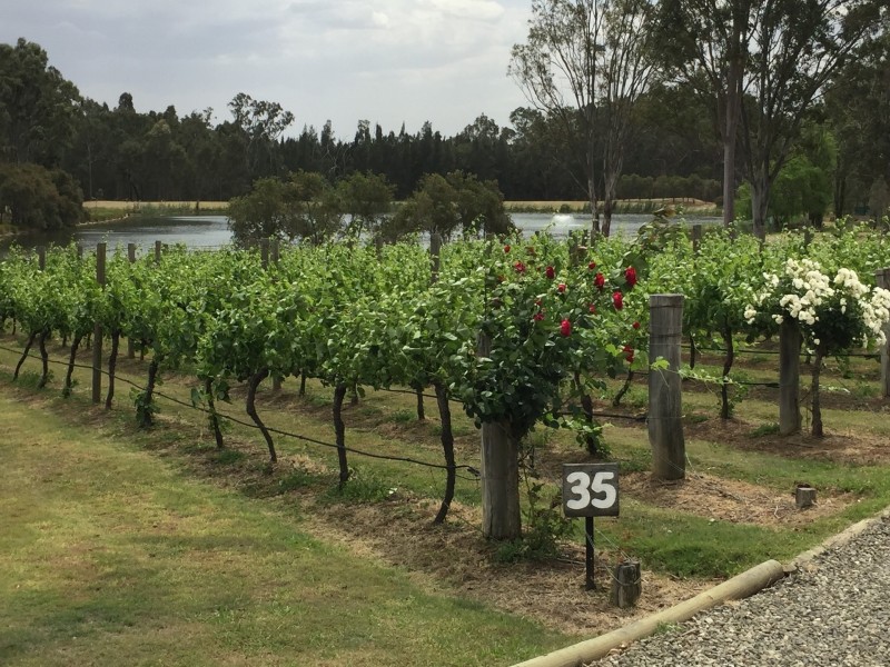 Lot Lot 35, 2 Oakey Creek Road, Pokolbin NSW 2320