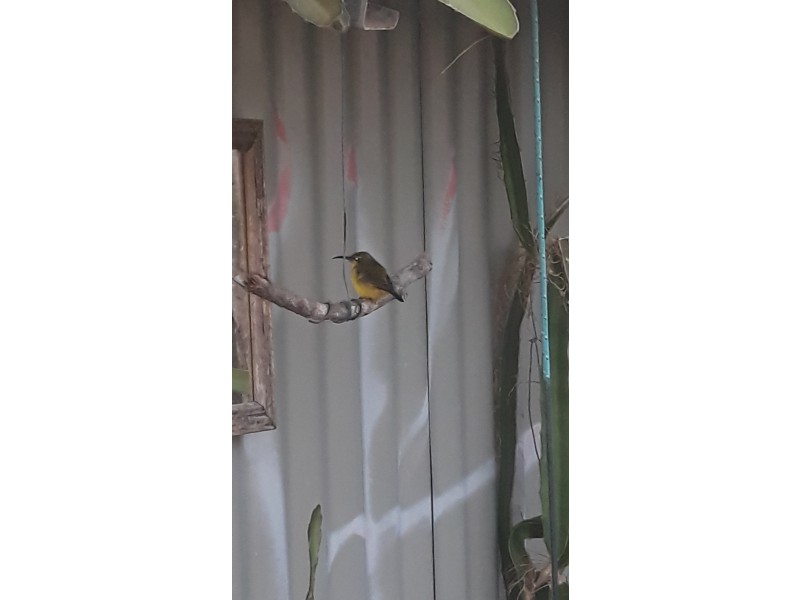 25 Smith Cross Road, Marian QLD 4753