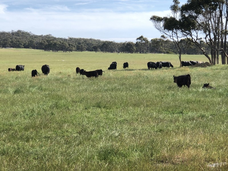 166 Thomas Stanley Road, Kronkup WA 6330