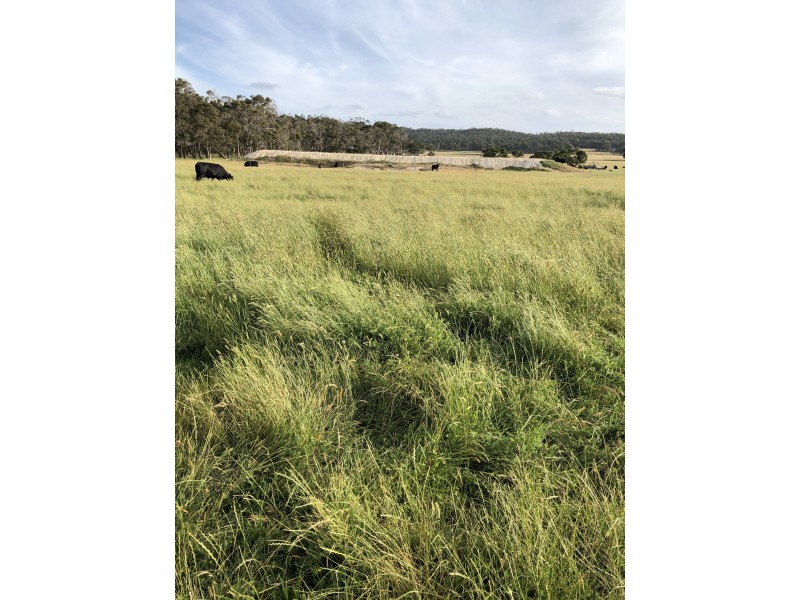 166 Thomas Stanley Road, Kronkup WA 6330