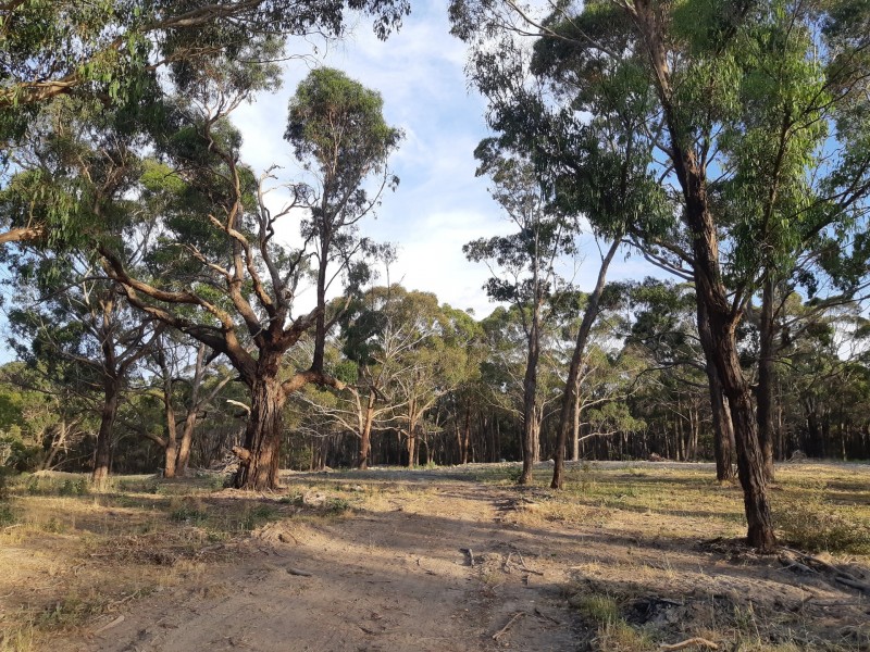 56 Grenville Drive, Garibaldi VIC 3352