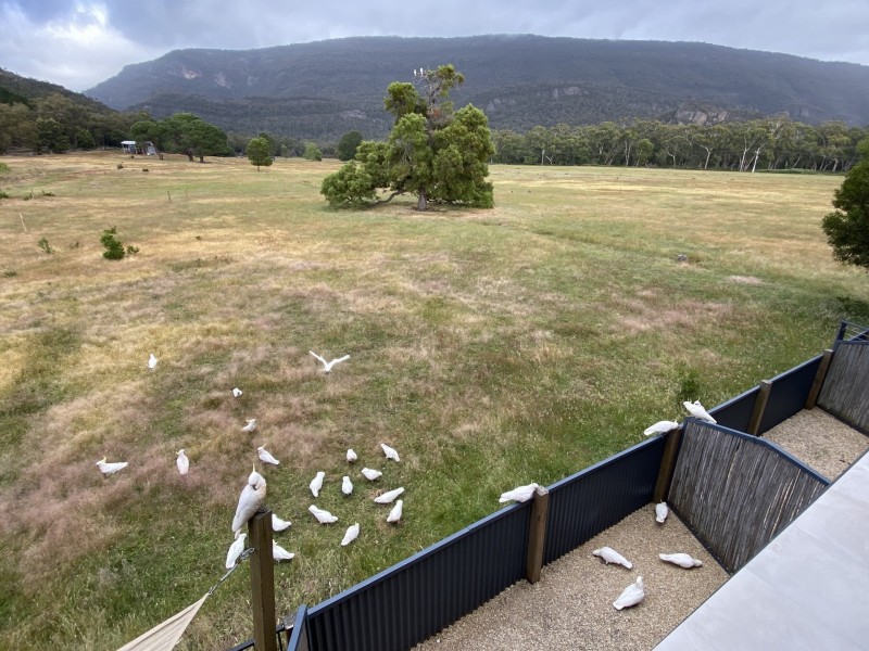 5/15-17 Clematis Drive, Halls Gap VIC 3381