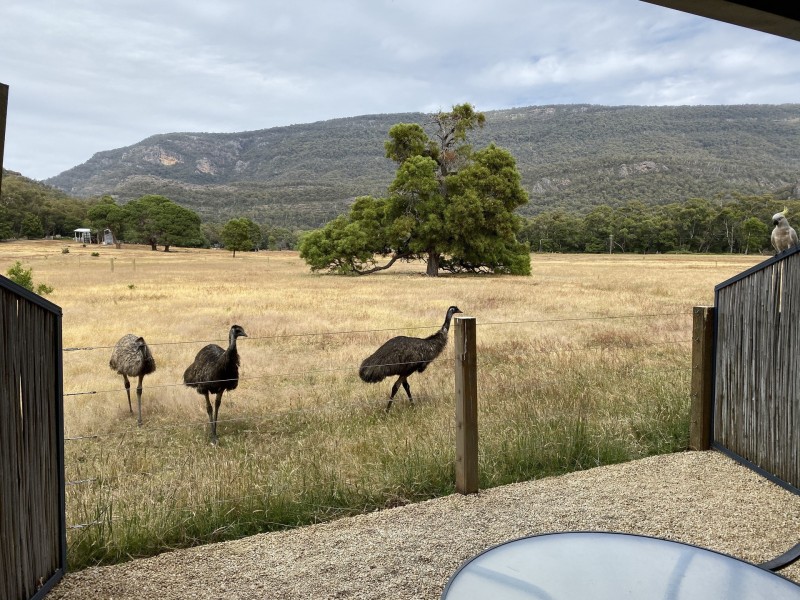 5/15-17 Clematis Drive, Halls Gap VIC 3381