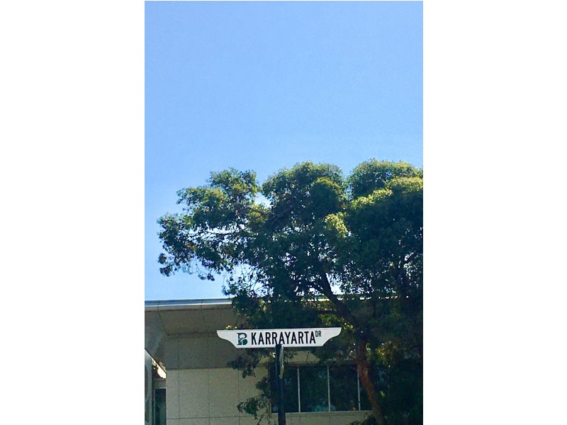 7 Karrayarta Drive, Glenside SA 5065
