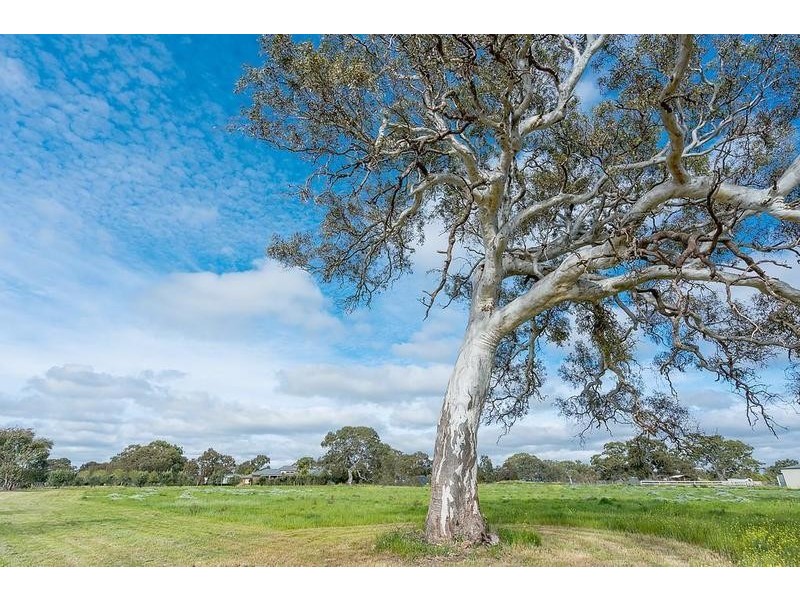 35 Callaway Drive, Mickleham VIC 3064