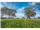 35 Callaway Drive, Mickleham VIC 3064
