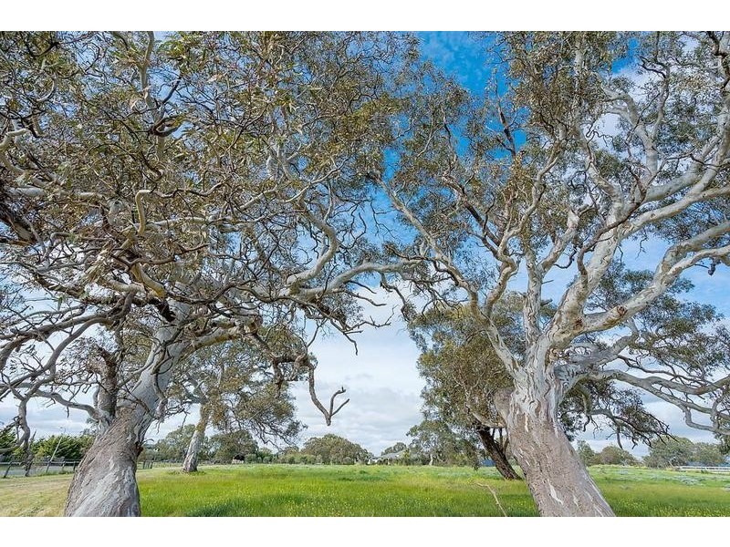35 Callaway Drive, Mickleham VIC 3064