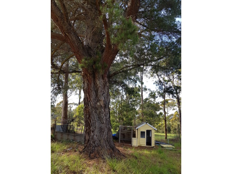 Lakes Entrance VIC 3909