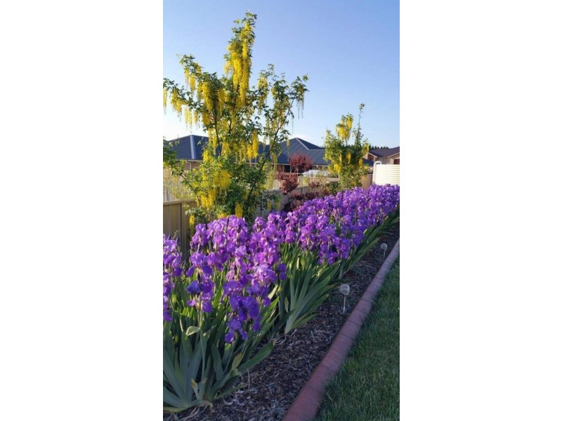 19 Isaac Drive, Orange NSW 2800