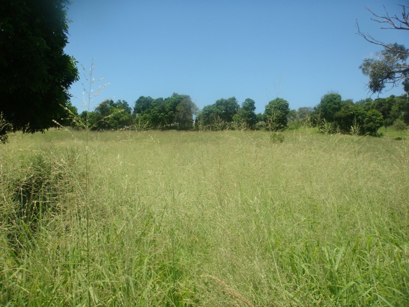 Obum Obum QLD 4309
