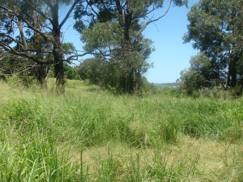 Obum Obum QLD 4309