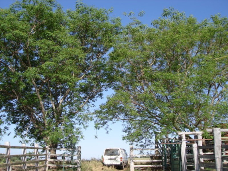 Obum Obum QLD 4309