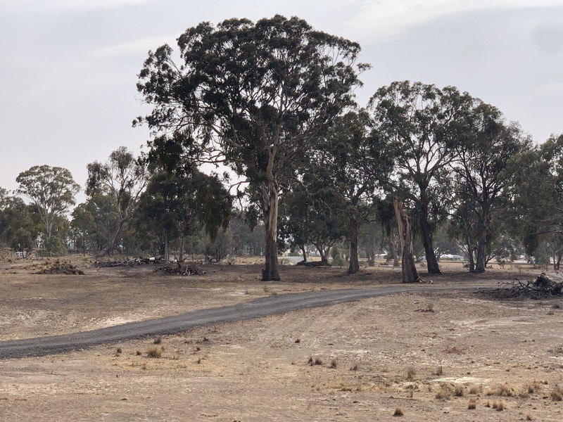 43 Lever Place, Royalla NSW 2620