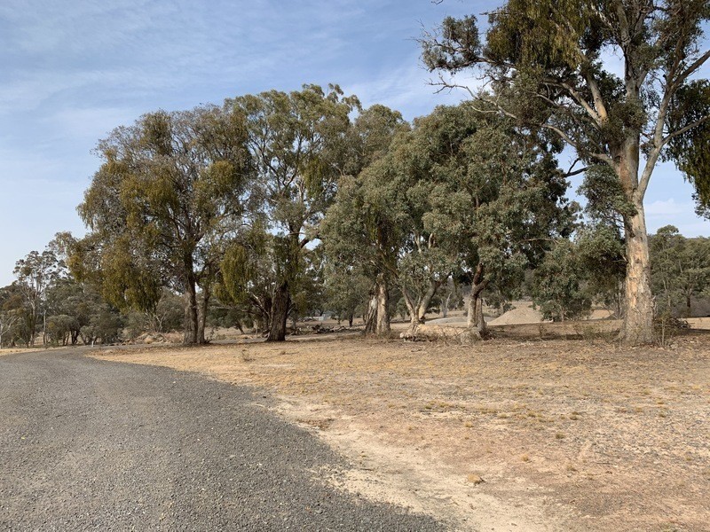 43 Lever Place, Royalla NSW 2620