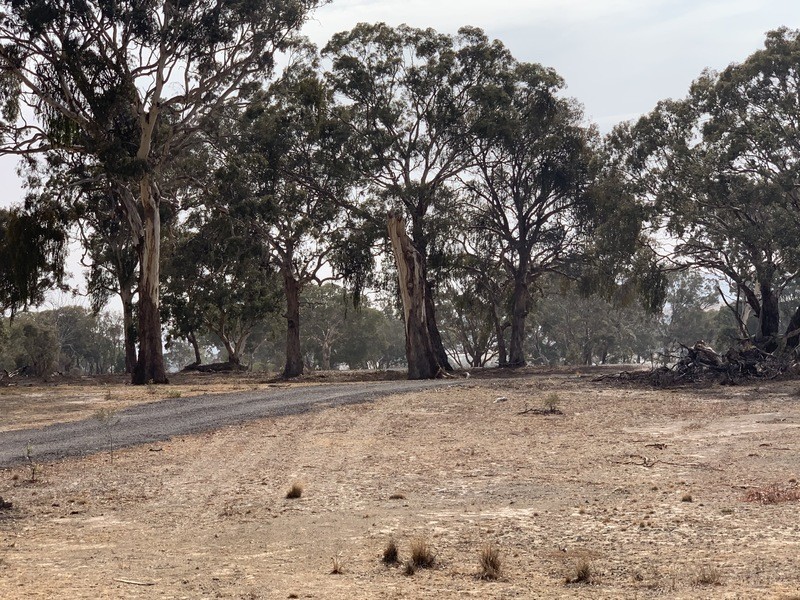 43 Lever Place, Royalla NSW 2620