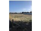 20 Lang Street, Beeac VIC 3251