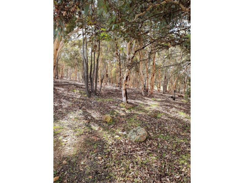 Lot 96 Echidna Close, Wandering WA 6308