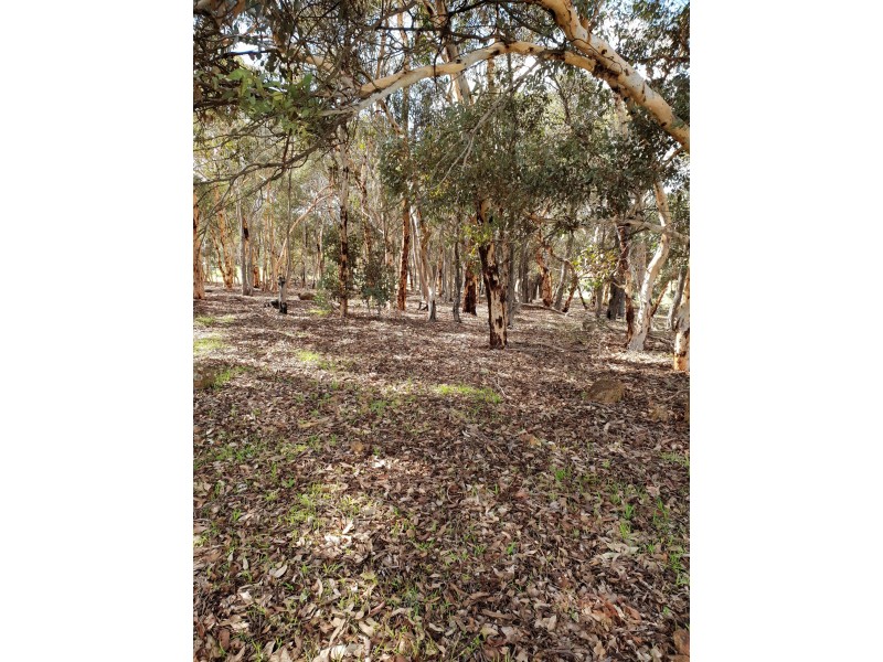 Lot 96 Echidna Close, Wandering WA 6308