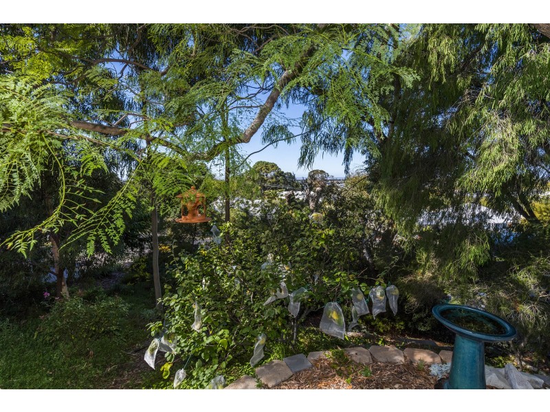 36 Tuart Street, Bunbury WA 6230