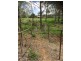 23 Mountain View Drive, Plainland QLD 4341