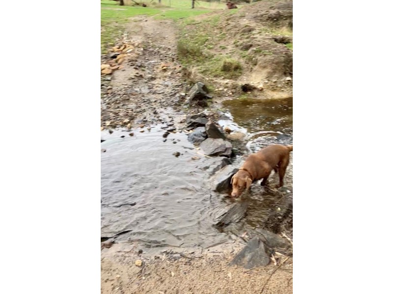 Barkers Creek VIC 3451