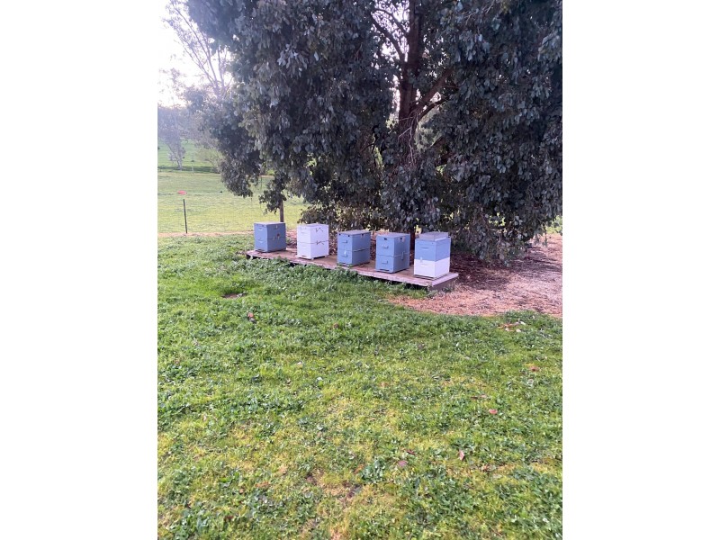 Barkers Creek VIC 3451