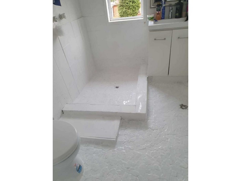 117 Sadleir Avenue, Ashcroft NSW 2168