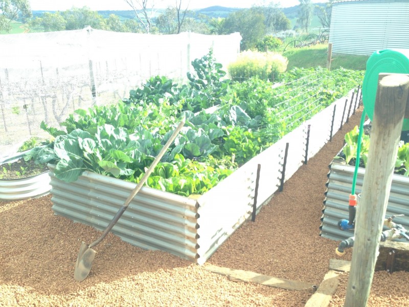 50 Coondle Drive, Coondle WA 6566