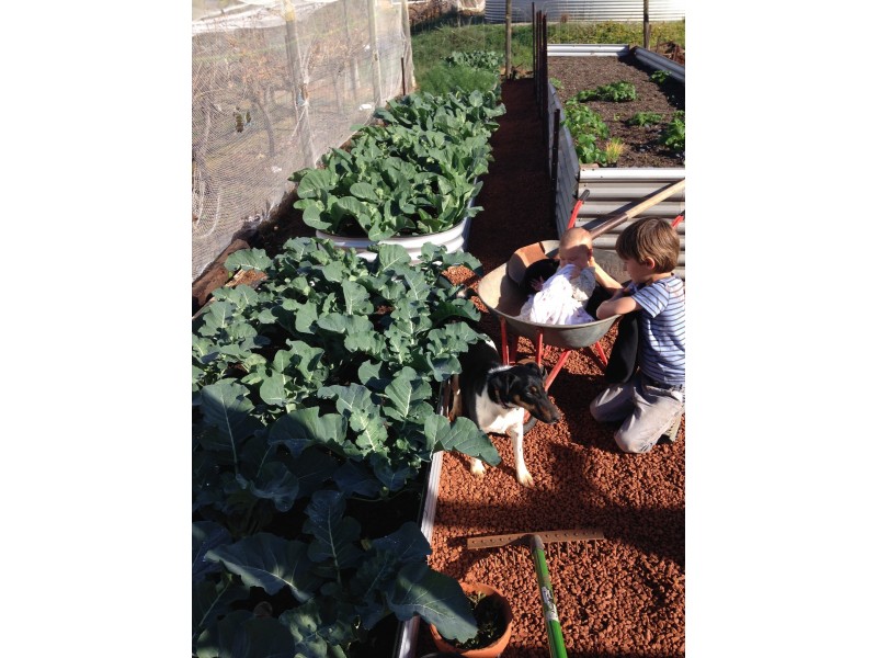 50 Coondle Drive, Coondle WA 6566