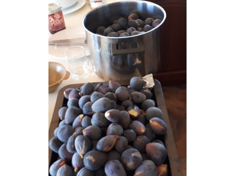 50 Coondle Drive, Coondle WA 6566