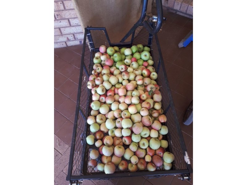 50 Coondle Drive, Coondle WA 6566