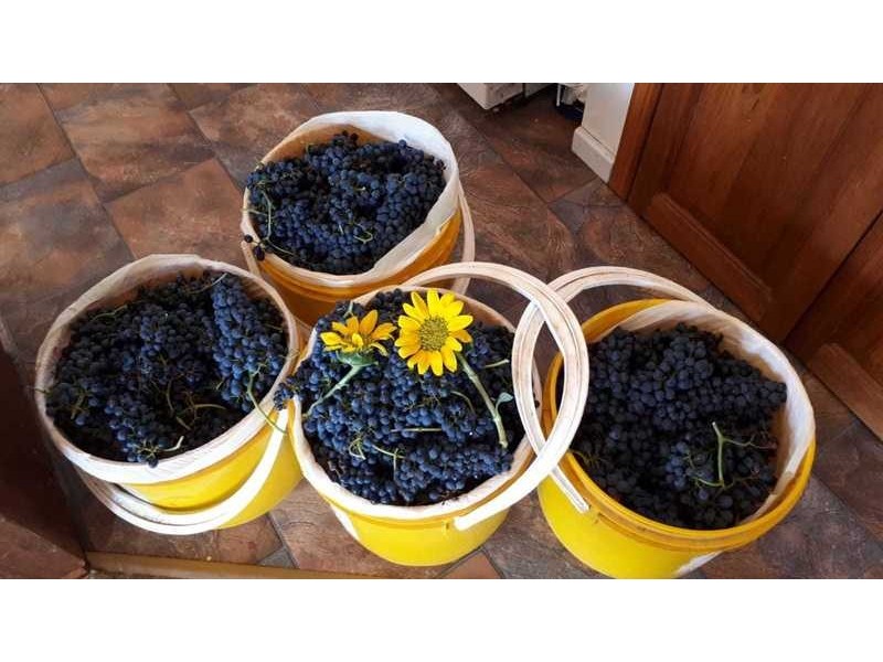 50 Coondle Drive, Coondle WA 6566