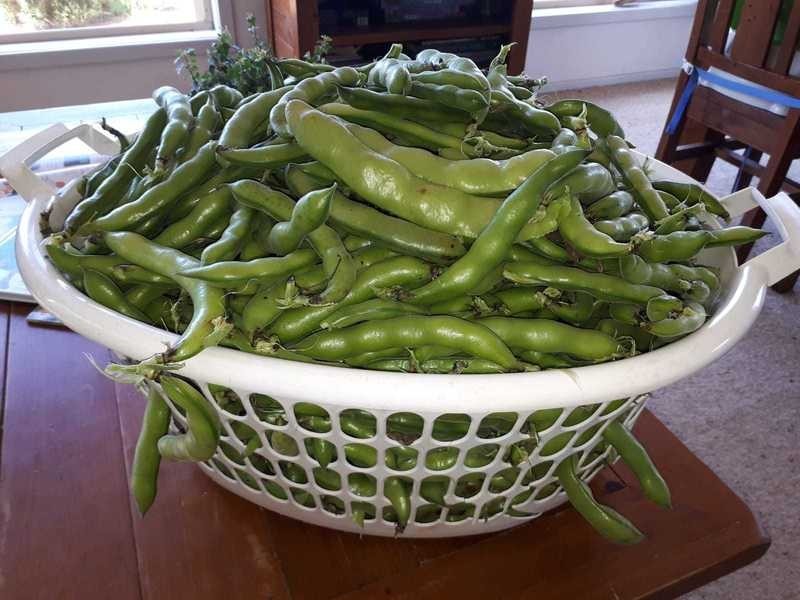 50 Coondle Drive, Coondle WA 6566