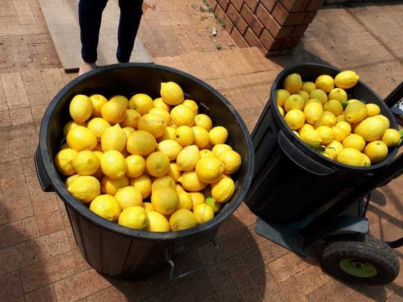 50 Coondle Drive, Coondle WA 6566