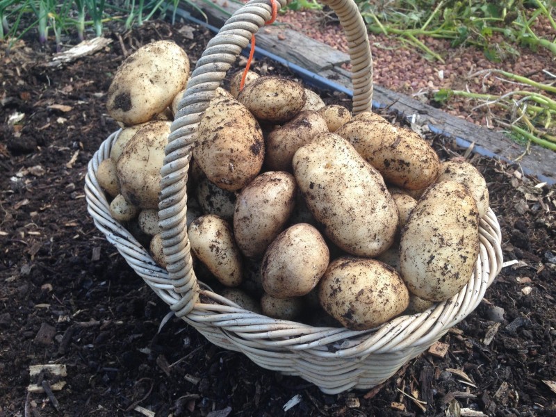 50 Coondle Drive, Coondle WA 6566