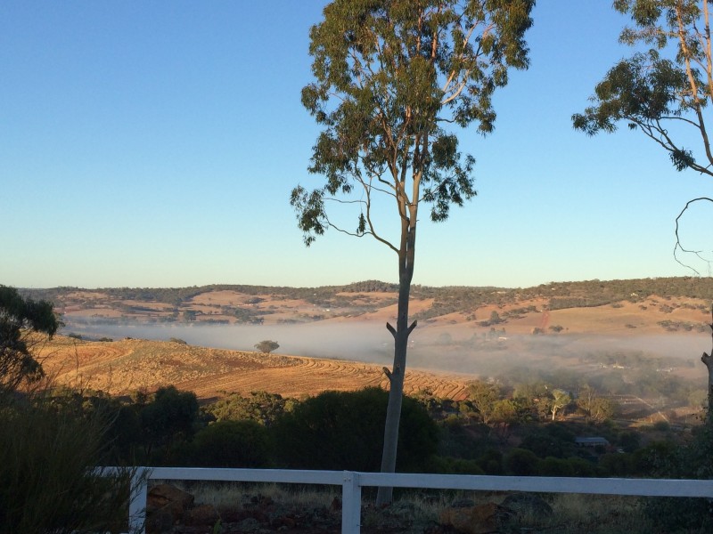 50 Coondle Drive, Coondle WA 6566