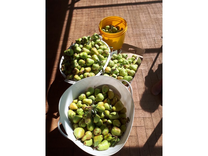 50 Coondle Drive, Coondle WA 6566