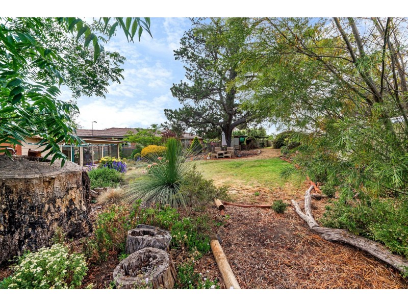 51 Sundew Circuit, Orange NSW 2800