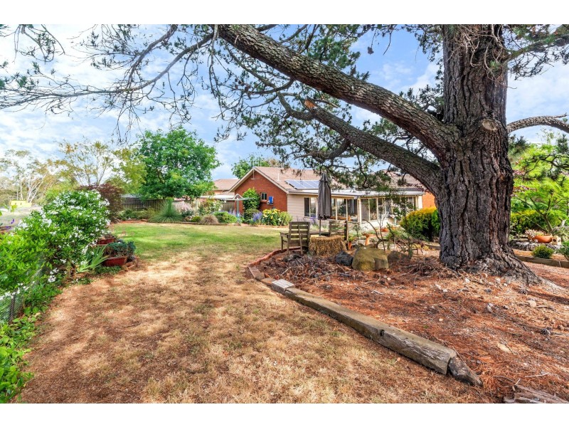 51 Sundew Circuit, Orange NSW 2800