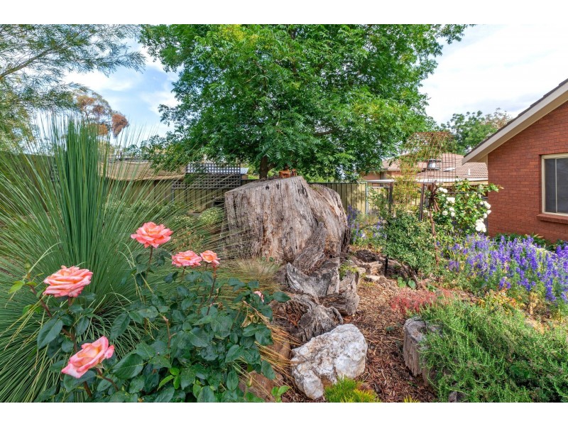 51 Sundew Circuit, Orange NSW 2800