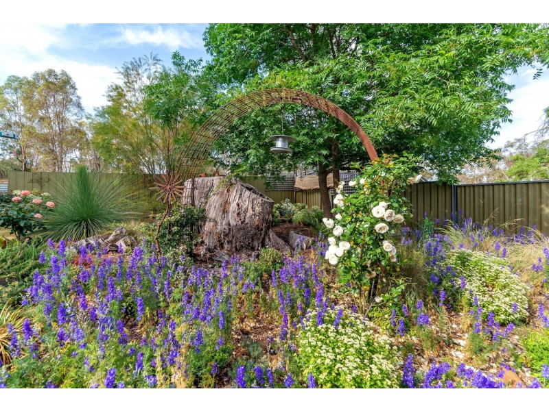 51 Sundew Circuit, Orange NSW 2800