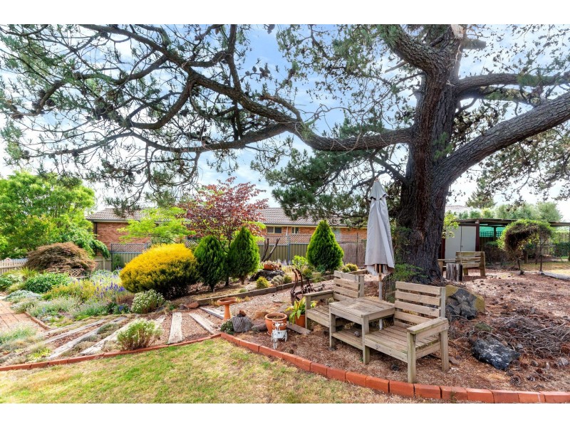 51 Sundew Circuit, Orange NSW 2800