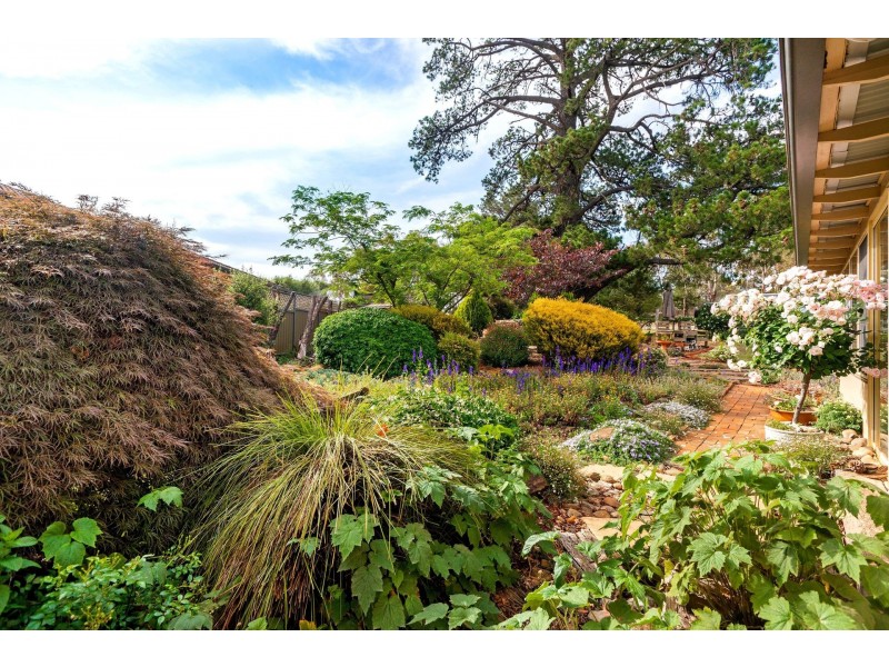 51 Sundew Circuit, Orange NSW 2800