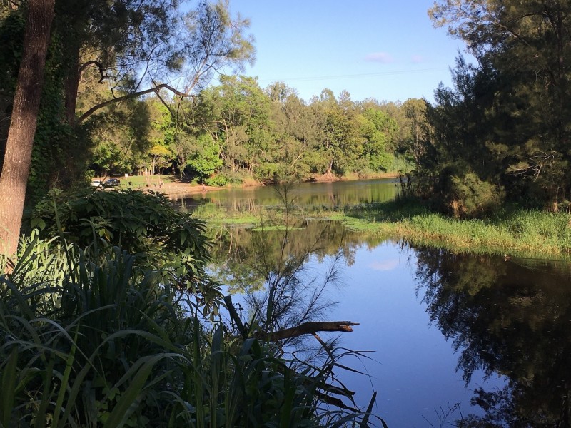 2 Dalrymple Court, Albany Creek QLD 4035